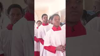 anglicanchurch christianchurch choirmusic churchchoir choralmusic gospelmusic gospelchoir [upl. by Adalheid511]