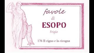 Favole di Esopo Frigio  176  Il cigno e la cicogna [upl. by Alyda]