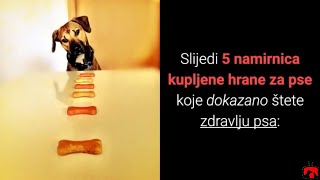 Pogledajte 5 Namirnica Kupljene Hrane Za Pse Koje Dokazano Štete Zdravlju Psa [upl. by Yahska992]