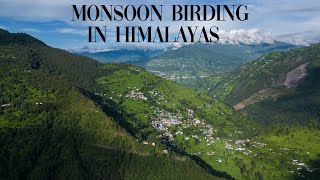 I Crashed My Drone Birding and Landscapes in the Uttarakhand Himalayas [upl. by Nekal971]