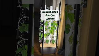 August 2024 Gardyn Update greenbeans hydroponicsystem vegetablegarden indoorgarden homegrown [upl. by Akessej]