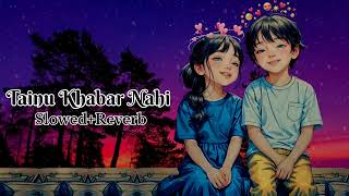 Tainu khabar nahi slowed and Reverb logi song [upl. by Aremmat540]