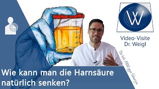 Wie kann man die Harnsäure natürlich senken amp dauerhaft reduzieren Gicht amp Ernährung [upl. by Ahsurej]