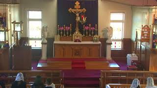 SSPXNZLIVE  Fourth Sunday of Lent  10th March  Sung Mass [upl. by Jessalin]