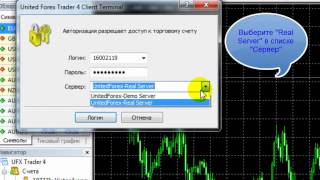MT4 Как войти на торговый счет [upl. by Lynnette]