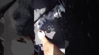 Pulizia sedile con detergente a secco manutenzioneauto shortsvideo shorts shortvideo [upl. by Ahcsropal901]