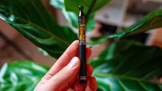 THIS Is The NEW BEST Dab Pen In The WORLD 2023 [upl. by Boleslaw420]