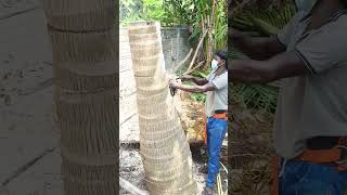 Sabarinathan tree cutter pattukkottai 8072635013 service [upl. by Ettenauq]