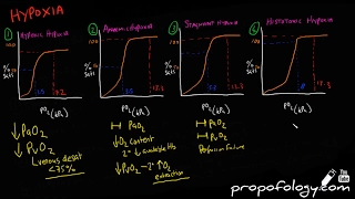 Hypoxia amp Blood Oxygen Content in 7 Minutes Physiology [upl. by Nnoj]