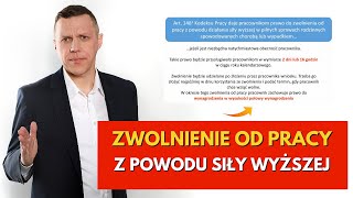 Zwolnienia pracowników z powodu siły wyższej  NOWE PRAWO PRACOWNIKA  Czas pracy kierowców [upl. by Alyakem]