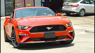 2017 Mustang ecoboost Muffler delete amp Resonator delete STRAIGHT PIPED Pops and Bangz [upl. by Notxed]