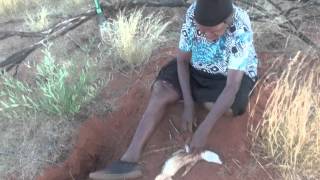 Aboriginal Bush Tucker Hunting with Margaret and Dorothy Napangardi [upl. by Mcloughlin]