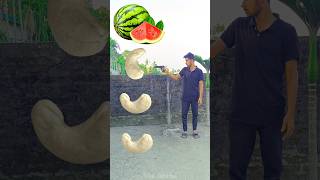 Rounding cashew nut to Grapes Mango lichi amp Watermelon  Fruits names magic video [upl. by Aihcsrop130]