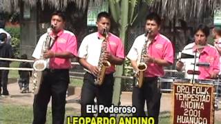 ORQUESTA TEMPESTAD ANDINA LEOPARDO ANDINO CONTRATOS01 3039509  996801611992984729 [upl. by Aenaj462]