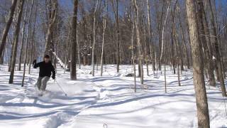 XCD Telemark Backcountry Skiing Secret Slopes Kingsmere Gatineau Park スキー Madshus Panorama M78 [upl. by Erdnuaed290]