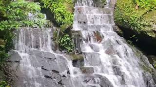 Relax and Heal with 24 Hour Nature Sounds Featuring Gentle Waterfalls for Ultimate Relaxation [upl. by Perri]