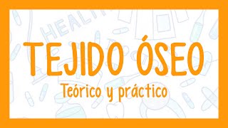 TEJIDO ÓSEO  ¡Fácil explicación Histología [upl. by Eniarda]