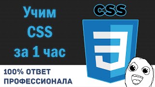 Учим CSS за 1 час От Профессионала [upl. by Deutsch439]