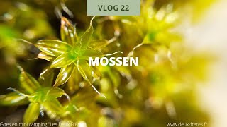 Natuur Weetjes voor kinderen Vlog 22 mossen [upl. by Varuag]