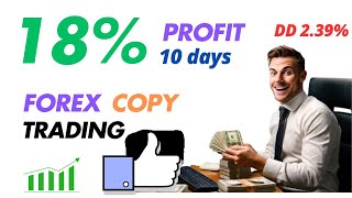 👍 18  Profit in 10 Days  copy trading in forex  Forex Trading for bignners ❤️ChatuRinvestoR [upl. by Enylorac]