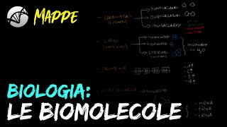 Le biomolecole i carboidrati [upl. by Nomis]