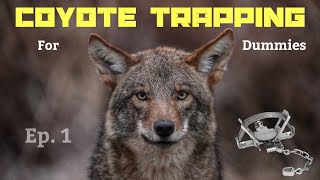 COYOTE TRAPPING FOR DUMMIES  EP 1  Components of a Trap amp How They Work [upl. by Googins983]