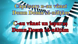 Domn Domn sănălțăm  Karaoke Sol Major [upl. by Frieda]