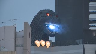 ゴジラの頭が歌舞伎町に出現 特別住民票交付、新宿観光特使に quotReal scalequot Godzilla head installed [upl. by Yngad130]