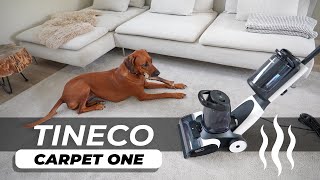 Tineco Carpet ONE  1300W TEPPICHREINIGER vs quotsaubererquot Teppich Peinlich [upl. by Melliw]