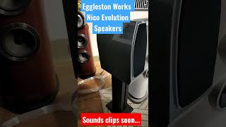 EgglestonWorks Nico Evolution Speakers [upl. by Ephraim]