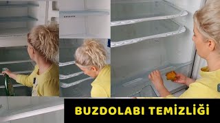 Buzdolabı Temizliğim👍 Buzdolabı kokusu Buzdolabı Temizliği Nasıl Yapılır [upl. by Malachy]