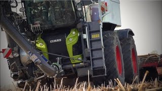 Gülle grubbern 2016 mit Claas Xerion 4000 Saddle Trac und SGT Aufbau [upl. by Coe]