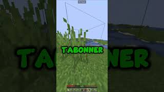 3 SECRETS Incroyable Sur MINECRAFT  shorts [upl. by Aoht702]