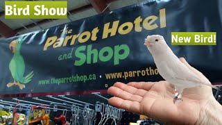 Canadian National Bird Show amp Expo 2017  Shopping  Bird Sales  New Bird [upl. by Burkhart]