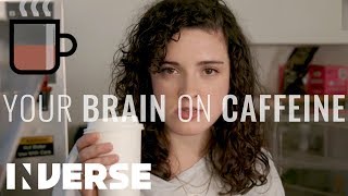 Your Brain On Caffeine  Inverse [upl. by Adonis101]