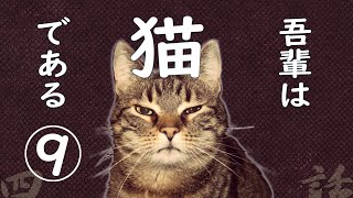 【朗読】吾輩は猫である9／夏目漱石 [upl. by Irrab473]