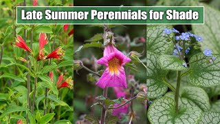 10 Late Summer Perennials for ShadePart Shade Garden Spot  August September Blooms [upl. by Nadroj249]