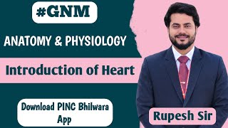 GNM  HEART ANATOMY  HEART INTRODUCTION  CARDIOVASCULAR SYSTEM  HEART ANATOMY amp PHYSIOLOGYHEART [upl. by Edge]