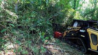 Forestry Mulching An Overgrown Backyard Creek [upl. by Balliol]