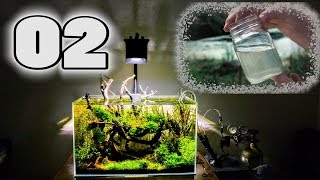 Optimizing Your Water Quality  Surface Scum amp Filtration  Aquascaping [upl. by Blasius]