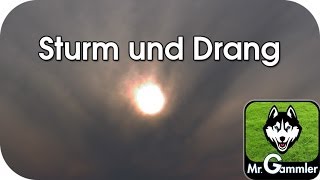 Sturm und Drang Insrumental [upl. by Eiramave716]