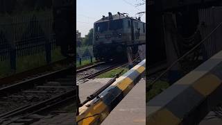 Train Horn Sound Effect Comparison Ludhiana WAP7 30651 and Tughlakabad WAP7 30335 hornsoundeffect [upl. by O'Donoghue209]