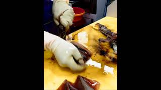 KOREAN STREET FOOD SQUID SASHIMI KOREA SEAFOOD MARKET 090721 01 Shorts [upl. by Dowzall857]