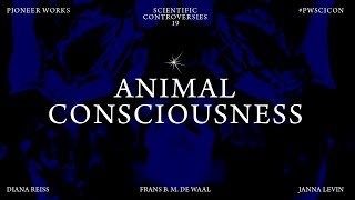 Animal Consciousness  Scientific Controversies [upl. by Nyladam827]