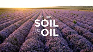 doTERRA Soil to Oil [upl. by Nawaj]