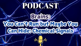 Brain You Cant Run but Maybe You Can Hide Chemical Signals [upl. by Geirk697]