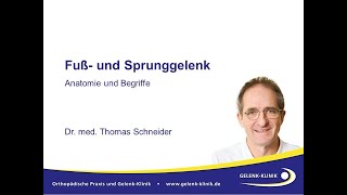 Fuß und Sprunggelenk Anatomie und Begriffe  Dr Thomas Schneider InfoAbend 30 Mai 2023 [upl. by Nelac]