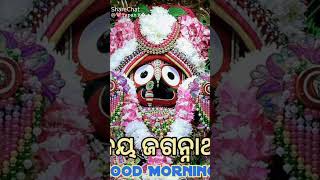 He jaganath bhajan tranding odia instagram Ripan biswal  offlcials [upl. by Cirri]