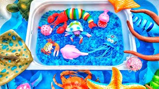 Learn sea animal names for babies toddlers amp preschoolers kids [upl. by Annayd]