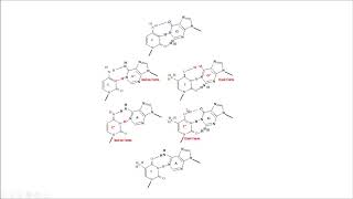 tautómeros tautomers replicación replication DNA structure estructura molecular biology biología [upl. by Eilagam901]